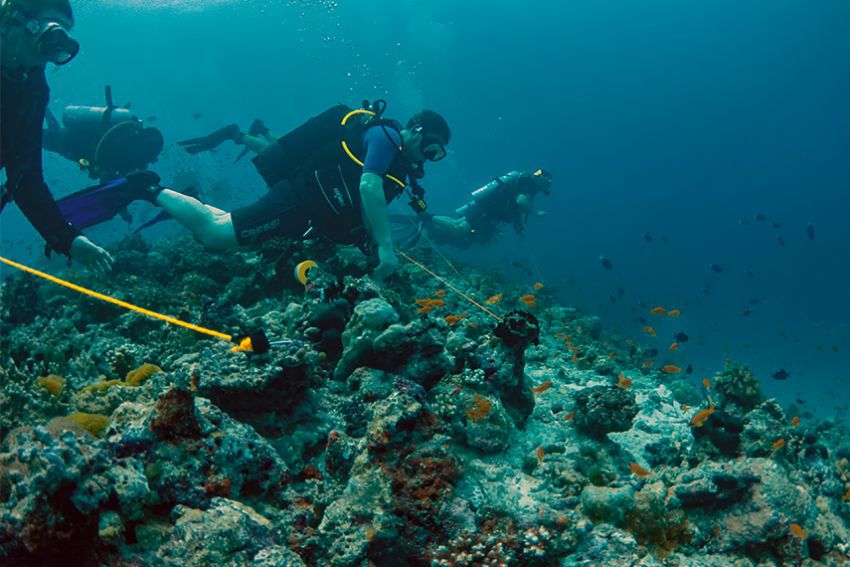 Essential Guide to using a Reef Hook